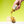 Load image into Gallery viewer, Jalapeño Avocado Taco Sauce Mini Bottle (1.7 oz.)