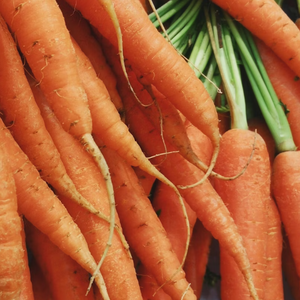 Carrots