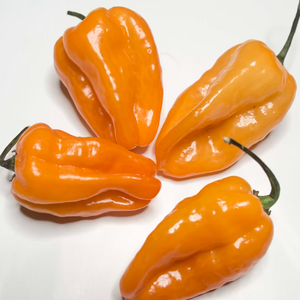 Habanero Peppers