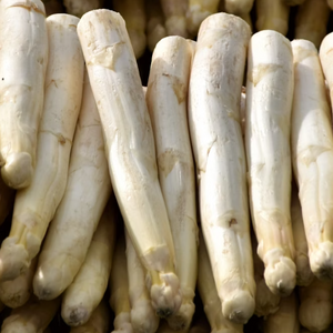 Horseradish