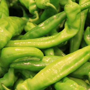 Pepperoncini Brine