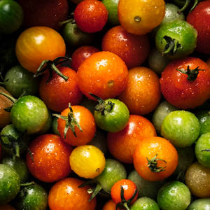 Tomatoes